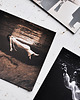 magnesy Zestaw magnesów - Fotografia Toni Frissell, Sepia 1