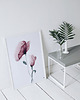 plakaty Plakat Kwiaty 3 roz. 61x91 cm 2