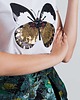 t-shirt damskie Koszulka z motylem 1