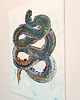 obrazy EARTH DRAGON SMOK ZIEMI Duży obraz akryl na płótnie 70x100 cm MEGA detal! 6