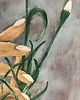 obrazy Obraz - Symbol , 50x70 3