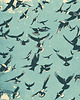 plakaty Plakat - Bird swarm 2