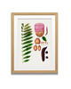 grafiki i ilustracje PLAKATY  botaniczne vintage ryciny kwiaty 6