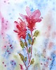 obrazy WYPRZEDAŻ OBRAZÓW! Akwarela Kwiaty oryginalny obraz A5 21x15 cm 1