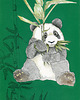 plakaty Plakat "Panda" 3