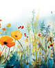 naklejki ścienne do pokoju dziecka Tapeta mural  KWIATOWA ŁĄKA maki 350X125 2