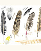 obrazy Akwarela No. 62 1