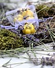 świeczniki i świece Wosk zapachowy Lawenda na bazie wosku pszczelego 5 szt. 50g 3