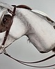 zabawki - inne Realistyczny Hobby Horse srokaty 8