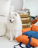 legowiska dla psów i kotów Legowisko przenośnie torba dla zwierząt Orange 2