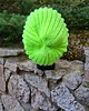 czapki damskie Czapka beanie neonowa 2