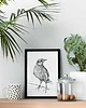 grafiki i ilustracje Skowronek 21x30 1