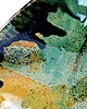 patery i talerze Patera ceramiczna - fala 8