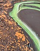 obrazy ZAKROCKA  UNIKAT - obraz nie powielany 1 sztuka  nietypowy  metaliczny 4