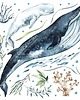 naklejki ścienne do pokoju dziecka Ocean - Naklejki Na Ścianę Dla Dzieci - Wzór 4 1