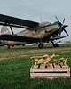 klocki i zabawki drewniane Samolot z klocków tęczowy DUŻY + personalizacja 3