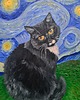 obrazy Portret Twojego pupila w stylu Van Gogh - okazja! Darmowa dostawa! 1