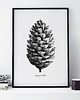 grafiki i ilustracje Szyszka 3