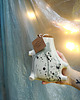 figurki i rzeźby Świnka Skarbonka PIGGYB 2.0 painted shiny 1