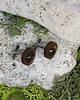 spinki do mankietów Drewniane spinki do mankietów koszuli Tygrysie oko 2