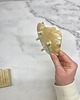 mydelniczki Ceramiczna Mydelniczka Handmade Muszelka Muszla Biała Matowa 6