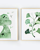 plakaty dwie grafiki botaniczne 30x40 cm 1