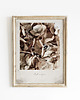 plakaty Plakat Hortensja Vintage 2