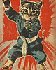 plakaty Plakat - Karate cat 2