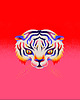 poduszki z grafiką Poduszka dekoracyjna - Pink Tiger 2