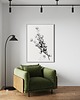 grafiki i ilustracje Kwiaty bawełny / Fine Art Print 2