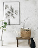 plakaty Wełnianka Eriophorum print / 40x50 cm 1
