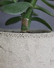 doniczki Doniczka ceramiczna 1