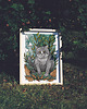 grafiki i ilustracje Chonky Cat - baśniowa ilustracja A5, 14,8 x 21 cm 1