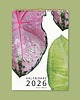 kalendarze i plannery Kalendarz ścienny 2026 na Spirali BOTANICAL  A4 Premium 2
