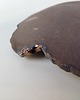 patery i talerze Ceramiczny talerz liść kapusty 1 6