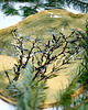 patery i talerze Patera 2