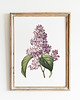plakaty Plakat Bez  vintage  4