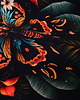 bluza bez kaptura damska Bluza bawełniana Motyl Pomarańczowy 1