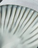 patery i talerze Zestaw ceramicznych muszli - opal 5