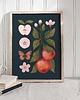 plakaty Plakat "Jabłka" granatowe tło 30x40 cm 2