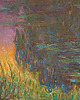 szale damskie Claude Monet "Lilie wodne" 3