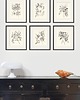 grafiki i ilustracje Zestaw Grafik Botanicznych Vintage 3
