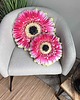 poduszki z grafiką Poduszka mała Kwiat Gerbera 2