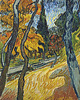 fototapeta Tapeta - Drzewa w ogrodzie azylowym - Vincent van Gogh 1