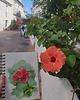 grafiki i ilustracje Obraz ręcznie malowany  Hiszpania Hibiskus 1