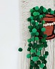 makramy Makatka "Plant Lover" 2