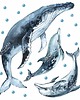 naklejki ścienne do pokoju dziecka Ocean - Naklejki Na Ścianę Dla Dzieci - Wzór 3 1