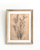 grafiki i ilustracje ZESTAW 8 PLAKATÓW beżowe botaniczne vintage 5