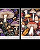 kalendarze i plannery Kalendarz 2027 Magiczne grzyby 2