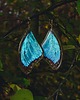 kolczyki z żywicy Kolczyki złote Kolczyki motyle morpho didius, niebieskie 1